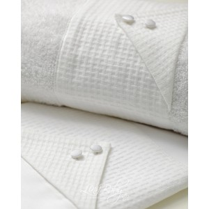 1587 Ρομπέρτο |Roberto