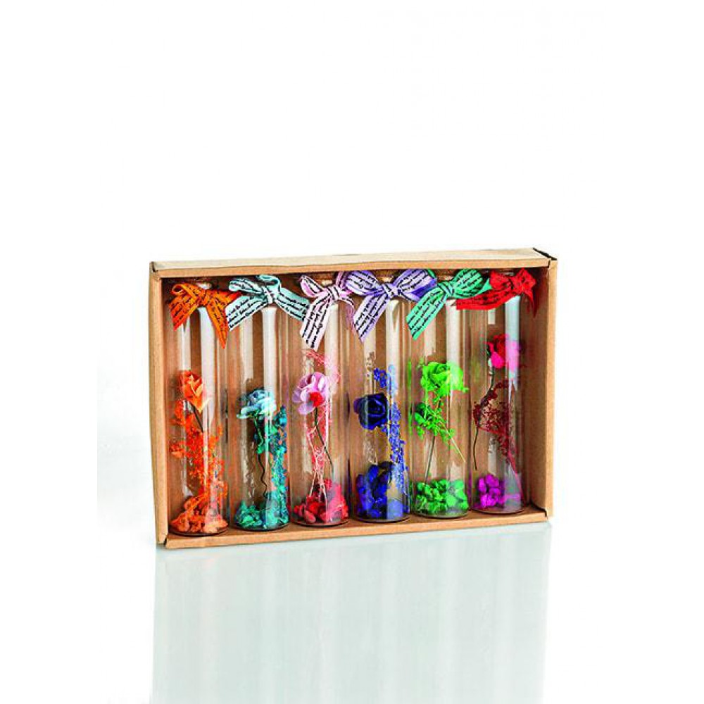 ΜΠΟΜΠΟΝΙΕΡΑ ΓΥΑΛΙΝΟΣ ΣΩΛΗΝΑΣ ΜΕ ΦΕΛΛΟ 6 ΧΡΩΜΑΤΩΝ Φ3Χ12Υ 