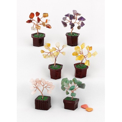 ΔΕΝΤΡΟ ΤΗΣ ΖΩΗΣ ΣΕ ΓΛΑΣΤΡΑΚΙ 6ΣΧΕΔΙΑ  7Χ8.5