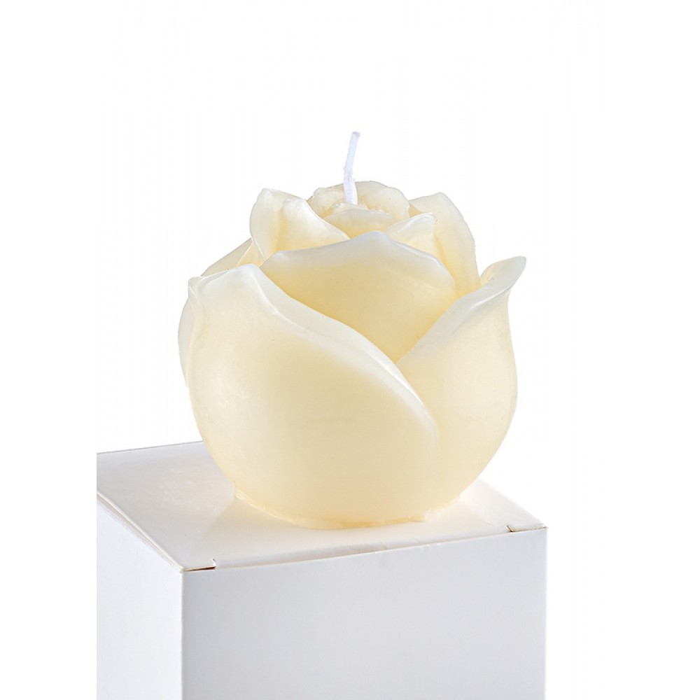 ΚΕΡΙ ΤΡΙΑΝΤΑΦΥΛΛΟ ΛΕΥΚΟ Φ6x6cm ΚΟΥΤΑΚΙ 7x7x6cm 