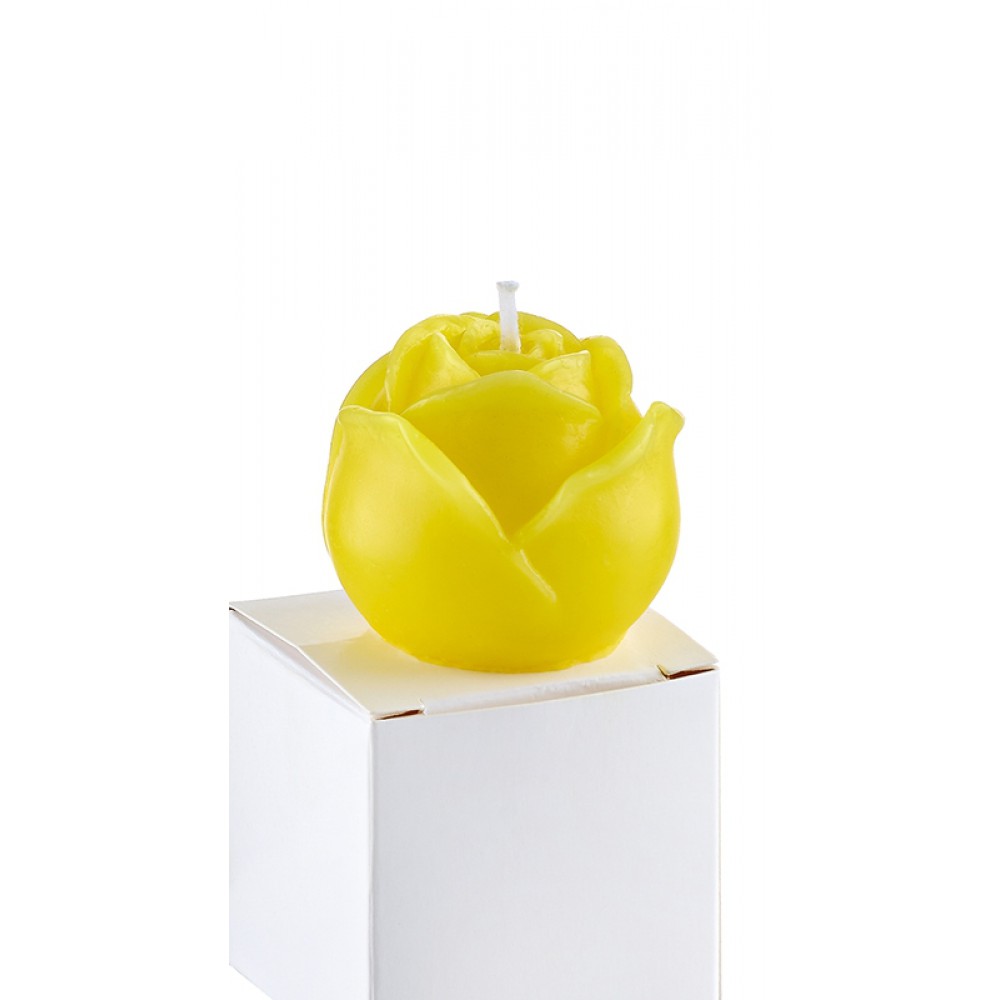 ΚΕΡΙ ΤΡΙΑΝΤΑΦΥΛΛΟ ΚΙΤΡΙΝΟ Φ5x4cm ΚΟΥΤΑΚΙ 5x5x5cm 