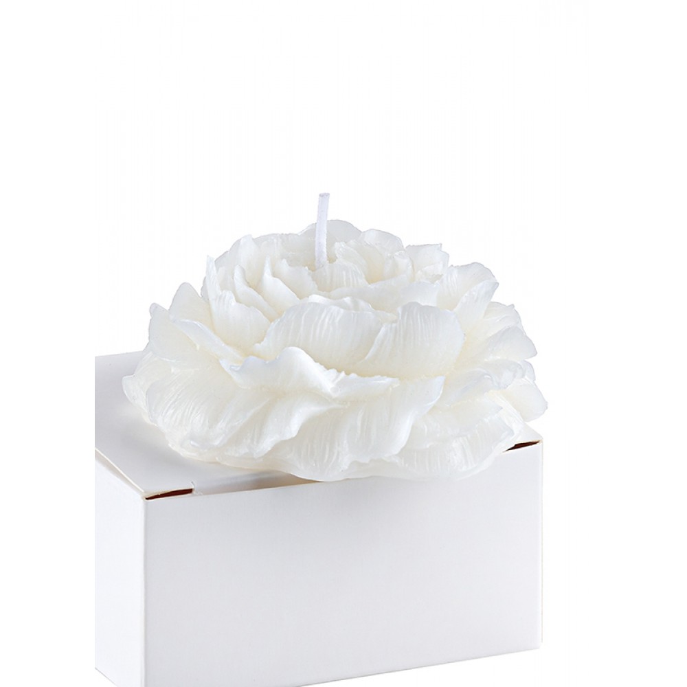 ΚΕΡΙ ΠΑΙΩΝΙΑ ΛΕΥΚΟ 8x3.5cm ΚΟΥΤΑΚΙ 8x8x4cm 