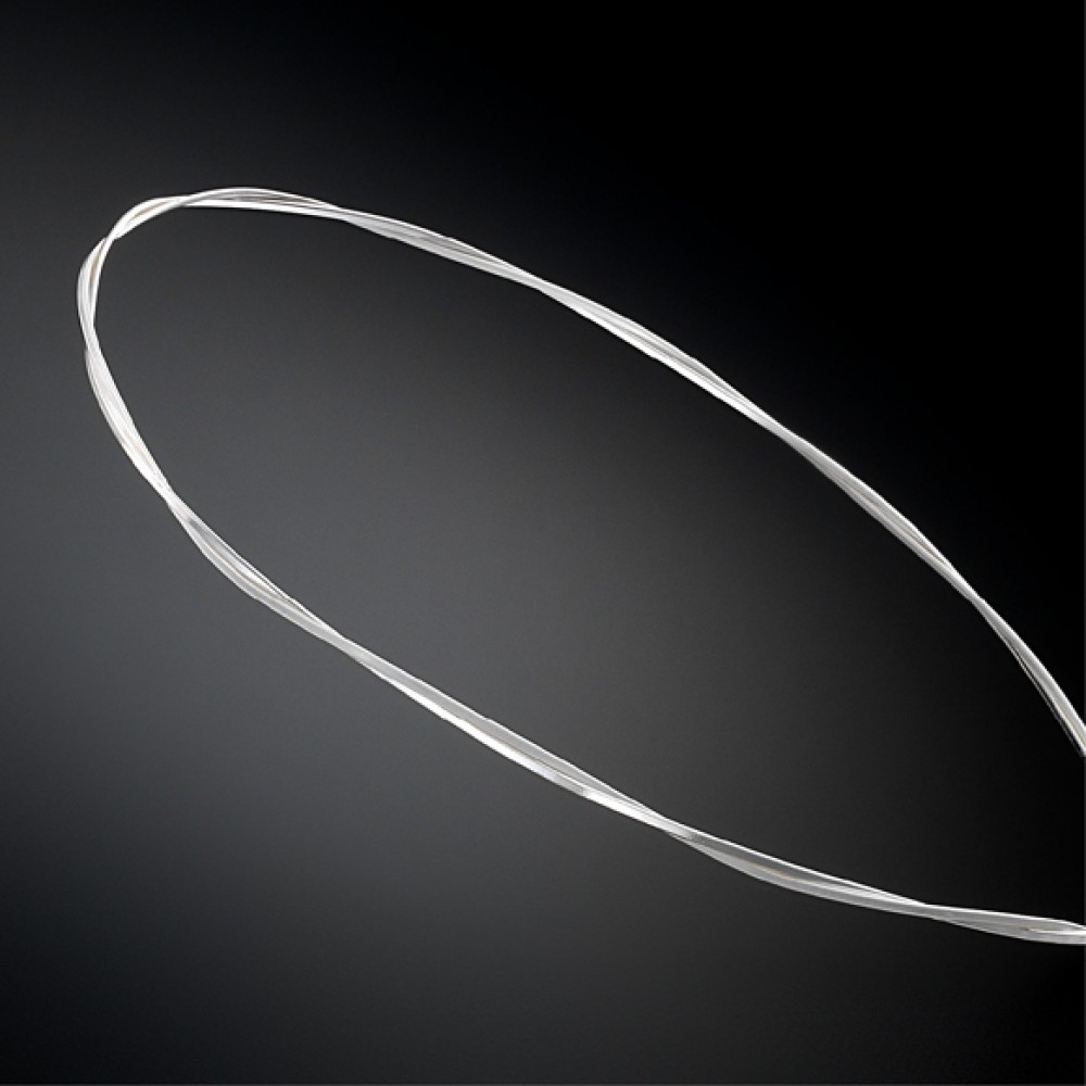 Στέφανα Γάμου Ασημένια  Ιπποδάμεια